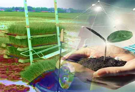 Turning Biochar into Sustainable Income Streams for Farmers and Businesses