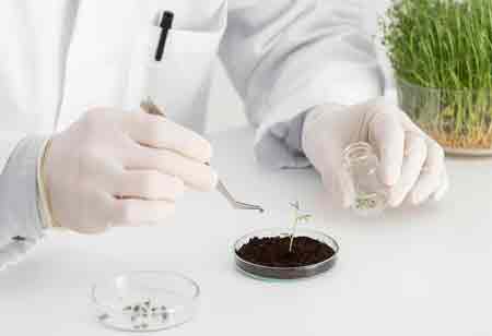Smarter Soil Testing Forms the Foundation of Future Farming