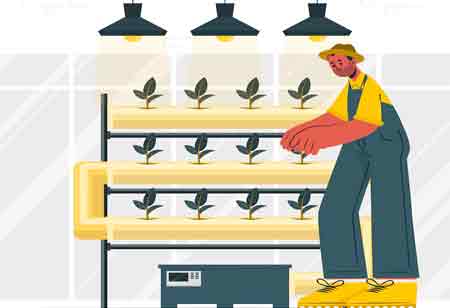 Emerging Trends and Key Insights in Agricultural Automation
