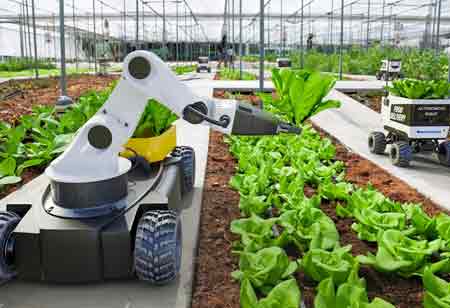 The Future of Farming with Automation